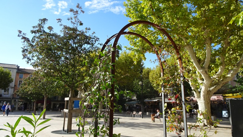 Vaison la Romaine