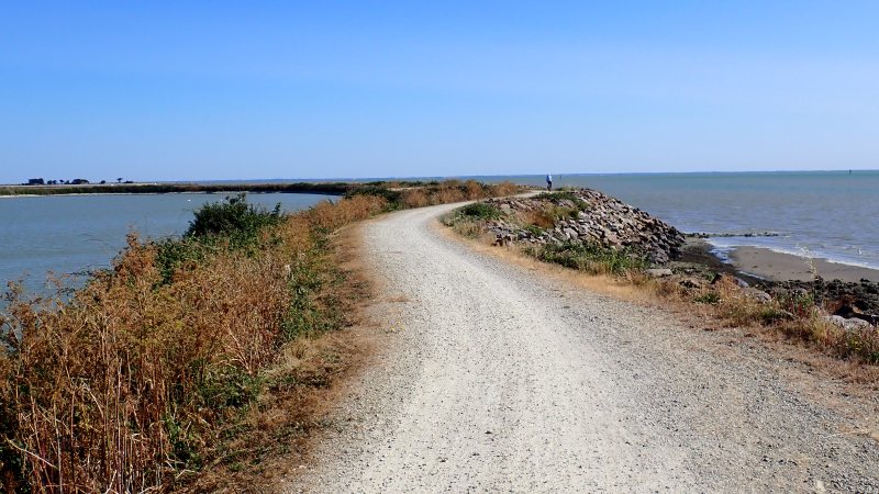 durchs Naturschutzgebiet