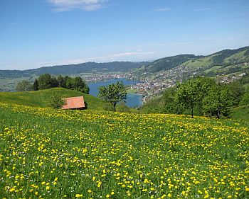 Hoch über dem Ägerisee