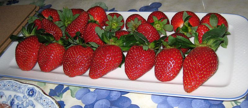 Erdbeeren für das Schokolade-Fondue