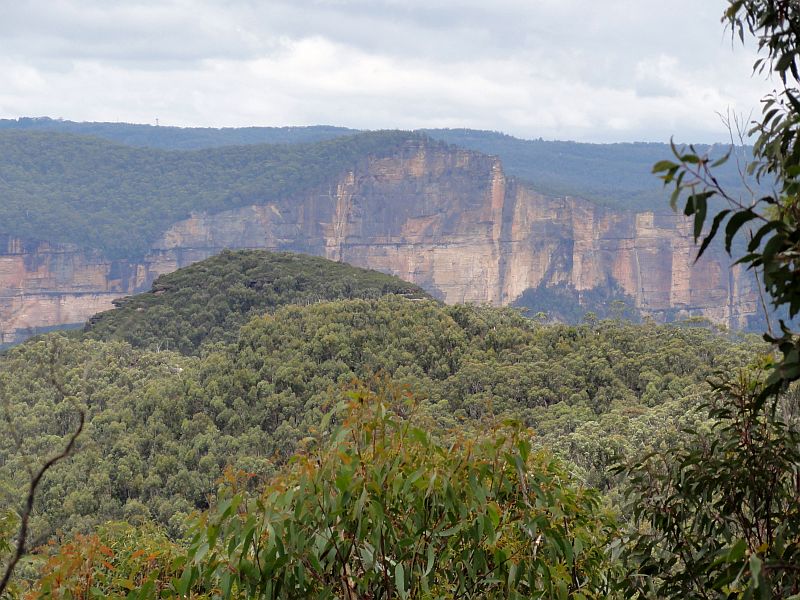 Blue Mountains