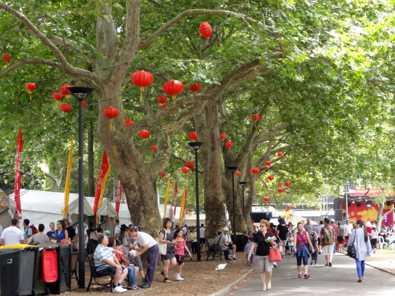 chinesisches Neujahrsfest